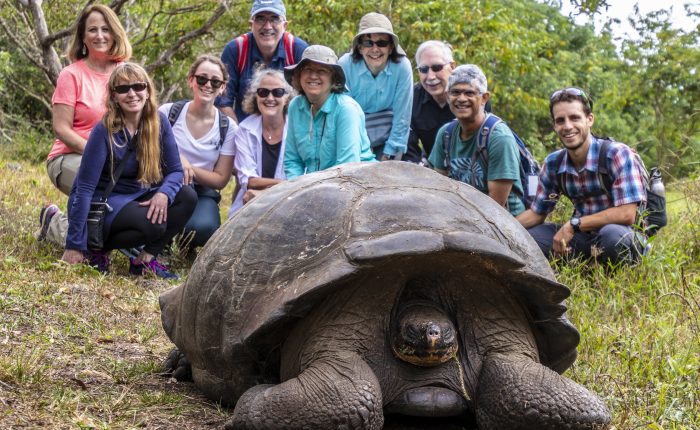 Tour group gathered behind a giant tortoise