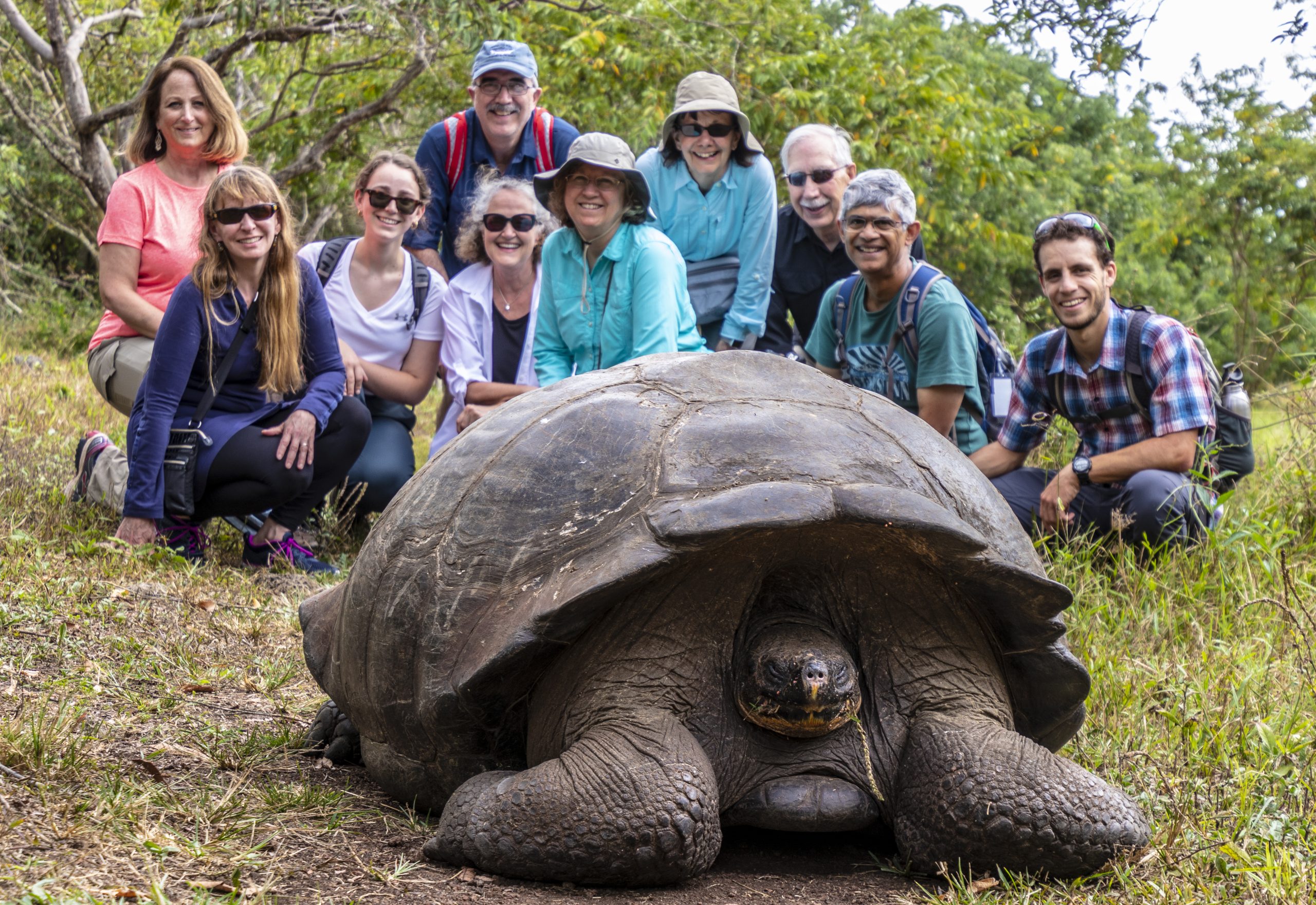 Tour group gathered behind a giant tortoise